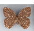 ( - CFC10114)  @11 [ ] Copyright (2018) Christer Fahraeus Center For Collection-Based Research