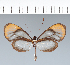  ( - CFC01020)  @11 [ ] copyright (2022) Center For Collection-Based Research Center For Collection-Based Research