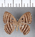  ( - CFC10459)  @11 [ ] Copyright (2018) Christer Fahraeus Center For Collection-Based Research