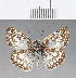  ( - CFC10462)  @11 [ ] Copyright (2018) Christer Fahraeus Center For Collection-Based Research