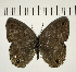  ( - CFC10692)  @11 [ ] Copyright (2018) Christer Fahraeus Center For Collection-Based Research