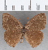  ( - CFC10775)  @11 [ ] copyright (2020) Christer Fahraeus Center For Collection-Based Research