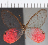  ( - CFC10809)  @11 [ ] Copyright (2019) Christer Fahraeus Center For Collection-Based Research