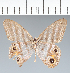 ( - CFC10857)  @11 [ ] copyright (2022) Center For Collection-Based Research Center For Collection-Based Research