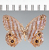  ( - CFC10867)  @11 [ ] copyright (2022) Center For Collection-Based Research Center For Collection-Based Research