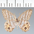  ( - CFC10868)  @11 [ ] copyright (2022) Center For Collection-Based Research Center For Collection-Based Research