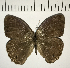  ( - CFC10894)  @11 [ ] Copyright (2018) Christer Fahraeus Center For Collection-Based Research
