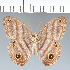  ( - CFC10996)  @11 [ ] copyright (2022) Center For Collection-Based Research Center For Collection-Based Research