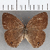  ( - CFC11010)  @11 [ ] copyright (2020) Christer Fahraeus Center For Collection-Based Research