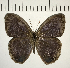 ( - CFC11033)  @11 [ ] Copyright (2018) Christer Fahraeus Center For Collection-Based Research