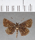  ( - CFC11153)  @11 [ ] Copyright (2018) Christer Fahraeus Center For Collection-Based Research