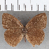  ( - CFC11203)  @11 [ ] copyright (2020) Christer Fahraeus Center For Collection-Based Research