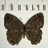  ( - CFC11263)  @11 [ ] Copyright (2018) Christer Fahraeus Center For Collection-Based Research