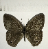  ( - CFC11345)  @11 [ ] Copyright (2018) Christer Fahraeus Center For Collection-Based Research