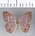  ( - CFC11385_2)  @11 [ ] Copyright (2019) Christer Fahraeus Center For Collection-Based Research