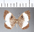  ( - CFC11458)  @11 [ ] Copyright (2018) Christer Fahraeus Center For Collection-Based Research