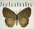  ( - CFC11459)  @11 [ ] Copyright (2018) Christer Fahraeus Center For Collection-Based Research