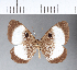  ( - CFC11475)  @11 [ ] Copyright (2018) Christer Fahraeus Center For Collection-Based Research