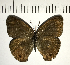  ( - CFC11484)  @11 [ ] Copyright (2018) Christer Fahraeus Center For Collection-Based Research