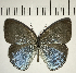  ( - CFC11486)  @11 [ ] Copyright (2018) Christer Fahraeus Center For Collection-Based Research