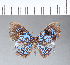  ( - CFC01151)  @11 [ ] Copyright (2018) Christer Fahraeus Center For Collection-Based Research