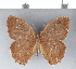  ( - CFC11537)  @11 [ ] Copyright (2018) Christer Fahraeus Center For Collection-Based Research