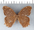  ( - CFC11540)  @11 [ ] Copyright (2018) Christer Fahraeus Center For Collection-Based Research