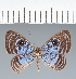  ( - CFC11547)  @11 [ ] copyright (2022) Center For Collection-Based Research Center For Collection-Based Research