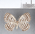  ( - CFC11560)  @11 [ ] Copyright (2018) Christer Fahraeus Center For Collection-Based Research