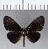  ( - CFC11596)  @11 [ ] Copyright (2018) Christer Fahraeus Center For Collection-Based Research
