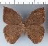  ( - CFC11628)  @11 [ ] Copyright (2018) Christer Fahraeus Center For Collection-Based Research