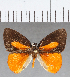  ( - CFC11658)  @11 [ ] Copyright (2019) Christer Fahraeus Center For Collection-Based Research