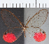  ( - CFC11727)  @11 [ ] Copyright (2019) Christer Fahraeus Center For Collection-Based Research