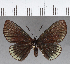  ( - CFC11785)  @11 [ ] Copyright (2019) Christer Fahraeus Center For Collection-Based Research