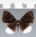  ( - CFC11852)  @11 [ ] copyright (2022) Center For Collection-Based Research Center For Collection-Based Research