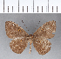  ( - CFC01187)  @11 [ ] Copyright (2018) Christer Fahraeus Center For Collection-Based Research