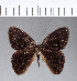  ( - CFC11877)  @11 [ ] Copyright (2018) Christer Fahraeus Center For Collection-Based Research