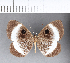  ( - CFC11889)  @11 [ ] Copyright (2018) Christer Fahraeus Center For Collection-Based Research