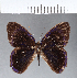  ( - CFC11912)  @11 [ ] Copyright (2018) Christer Fahraeus Center For Collection-Based Research