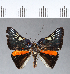  ( - CFC11920)  @11 [ ] Copyright (2018) Christer Fahraeus Center For Collection-Based Research
