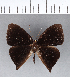  ( - CFC12018)  @11 [ ] Copyright (2018) Christer Fahraeus Center For Collection-Based Research