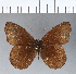  ( - CFC01202)  @11 [ ] Copyright (2018) Christer Fahraeus Center For Collection-Based Research