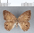  ( - CFC12036)  @11 [ ] Copyright (2018) Christer Fahraeus Center For Collection-Based Research