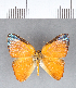  ( - CFC12079)  @11 [ ] Copyright (2018) Christer Fahraeus Center For Collection-Based Research