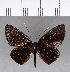  ( - CFC12088)  @11 [ ] Copyright (2018) Christer Fahraeus Center For Collection-Based Research