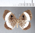  ( - CFC12105)  @11 [ ] Copyright (2018) Christer Fahraeus Center For Collection-Based Research