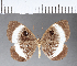  ( - CFC12106)  @11 [ ] Copyright (2018) Christer Fahraeus Center For Collection-Based Research