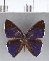  ( - CFC12119)  @11 [ ] Copyright (2018) Christer Fahraeus Center For Collection-Based Research