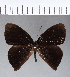  ( - CFC12129)  @11 [ ] Copyright (2018) Christer Fahraeus Center For Collection-Based Research