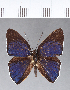  ( - CFC12130)  @11 [ ] Copyright (2018) Christer Fahraeus Center For Collection-Based Research